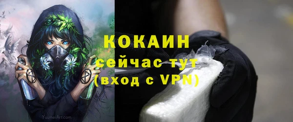 ECSTASY Армянск