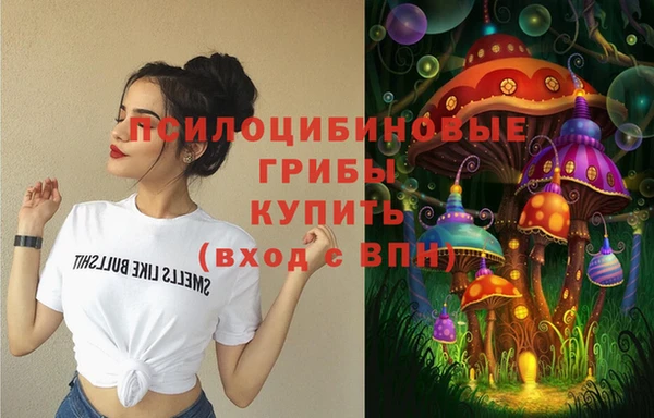 сатива Балахна