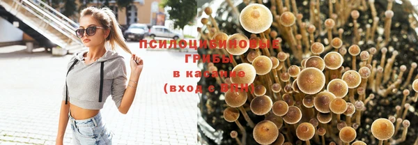 каннабис Арсеньев